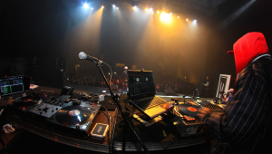 Image of Blue and Nickelus F in Tampa